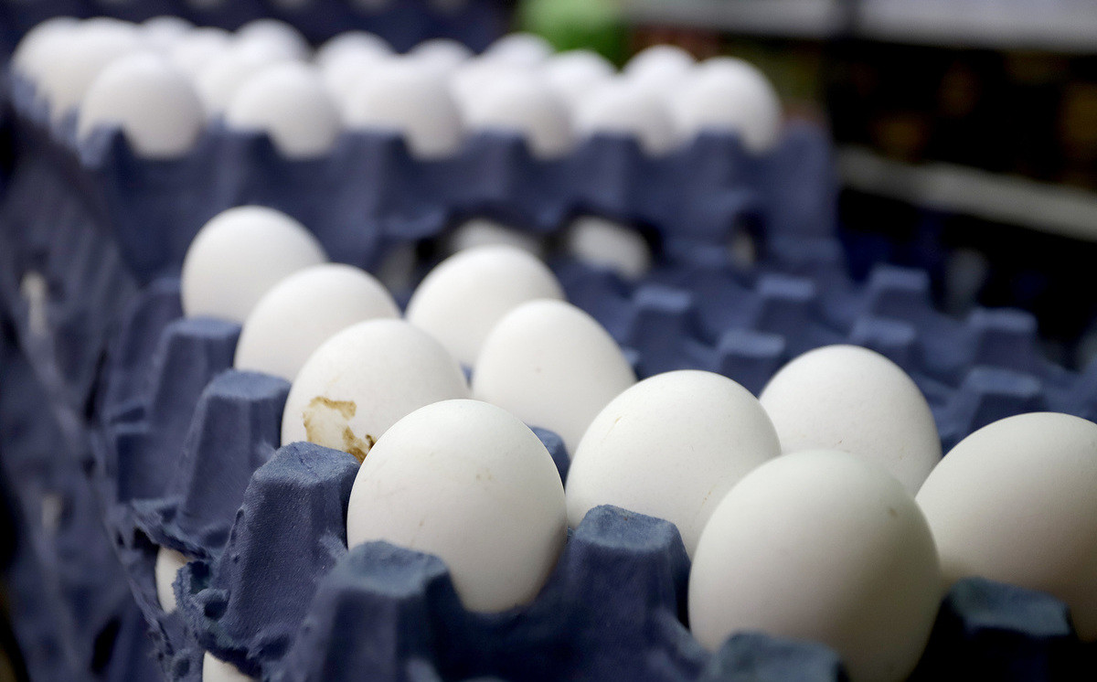 Avicultores tehuacan producen huevo exportacion 0 27 1200 746