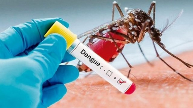 Dengue dominicana
