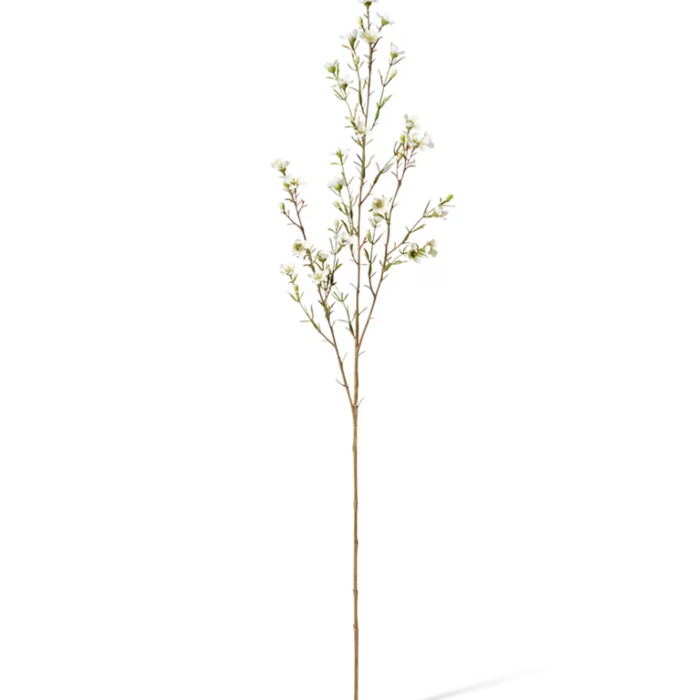 ef0ada633f5a762360644ec8f4d58e7c.png